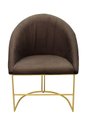 Ver imagem 1 de Kit Poltronas Decorativa Lua Sala de Jantar Base Industrial Dourada Marrom