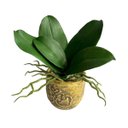 Ver imagem 6 de 7 Folhas Decorativas Orquídea Artificial Silicone Toque Natural Modelo Premium com Raiz 25cm