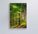 Ver imagem 2 de Quadro Árvore Verde 2 - 80x120 Cm - Vidro Impresso