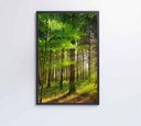 Ver imagem 5 de Quadro Árvore Verde 2 - 80x120 Cm - Vidro Impresso