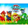 Painel de Festa Patrulha Canina #03 - 180x120 - 1