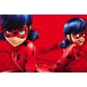 Painel de Festa Miraculous Ladybug #05 - 180x120 - 1