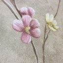 Ver imagem 2 de Papel de Parede Floral Bege e Rosa com Cola Inclusa