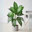 Ver imagem 7 de 10 Arbustos Grande Artificial 95cm Decoração Moderna Sofisticada Atacado Planta Verde