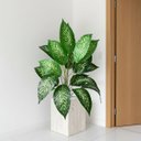 Ver imagem 6 de 10 Arbustos Grande Artificial 95cm Decoração Moderna Sofisticada Atacado Planta Verde