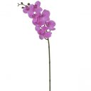 Ver imagem 1 de Haste Flor Orquídea Phalaenopsis Real Toque C-coat X7 73cm
