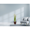 Ver imagem 2 de Planta Árvore Artificial Grass Com Flor 90 cm Kit + Vaso S. Marrom 30 cm