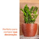 Ver imagem 4 de Vaso Redondo Elba Café 41 Terrano