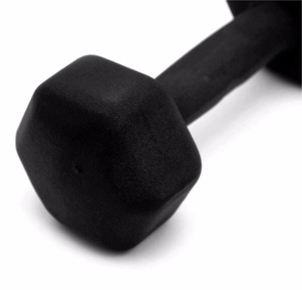 Dumbell Sextado de Ferro Fundido Pintado - 20 Kg - 2