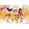 Painel de Festa O Clube Das Winx #04 - 150x100 - 1