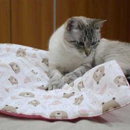 Edredom Pet Cachorro Gato Fofura Dupla Face - Ursos - Rosa - Amour Pet - 4