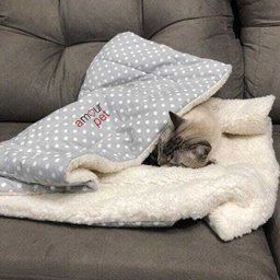 Edredom Pet Cachorro Gato Fofura Carapinha - Cinza Poá - Amour Pet - 3