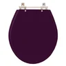 Assento Sanitário Carina Ametista (Roxo) para vaso Ideal Standard - 1