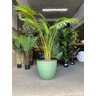 Vaso para Plantas Sala e Jardim Alto Brilho (liso/verde-piscina) - 5