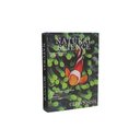 Ver imagem 3 de Cj de Livros Caixa Natural Science Verde e Preto 2pcs