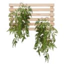 Ver imagem 5 de Kit 5 Samambaias Artificiais Pendentes Linha Premium – Decoração Moderna e Elegante