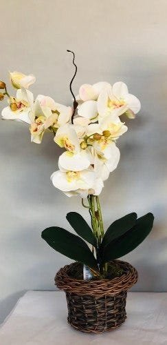 Arranjo Orquídea De Silicone - 1