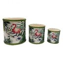 Ver imagem 1 de CONJUNTO DE CACHEPOTS DE CERAMICA FLAMINGO 3 PCS 13CM X 13,5CM