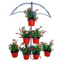Ver imagem 2 de Suporte Plantas Guarda Chuva Azul 7 Vasos