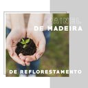 Ver imagem 7 de Guarda Roupa Solteiro 8 Portas 4 Gavetas Espelho Branco