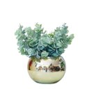 Ver imagem 1 de Arranjo No Vaso Dourado Completo Flores Verdinho Eucalipto