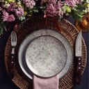 Ver imagem 4 de Conjunto 4 Pratos Rasos 25cm Porcelana Floralis Tramontina