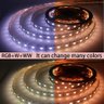Fita Led 5050 Rgbw+ww 14.4w 60 Led’s 24v Ip20 5 Metros - 4