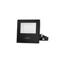 Ver imagem 1 de Refletor Blumenau Led Play 30w Preto Bivolt Luz Verde
