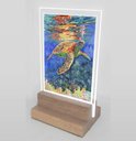 Ver imagem 2 de Abajur e Luminária Decoração Tartaruga 4