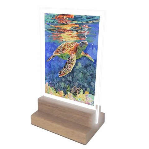 Abajur e Luminária Decoração Tartaruga 4