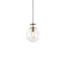 Lustre Pendente Skylight Tommy 3039 E27 Bivolt Bronze/transparente Sky-3039ts - 1