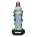 Ver imagem 5 de Imagem Nossa Senhora Grávida Resina 20 Cm