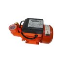 Ver imagem 2 de Bomba de Agua Periférica 1 Cv Bivolt Monofásica Foxlux