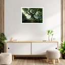 Ver imagem 1 de Quadro Decorativo Árvore Majestosa - 50x70cm:moldura Branca