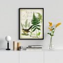 Ver imagem 1 de Quadro Decorativo Vintage Botânica - Passarinho 45x34cm - com Vidro:madeira Branca
