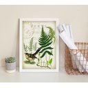 Ver imagem 2 de Quadro Decorativo Vintage Botânica - Passarinho 45x34cm - com Vidro:madeira Branca