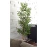 Planta Artificial Árvore Bambu Japonês 1,60 Metros de Altura - 1