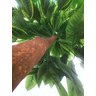 Planta Artificia Árvore CROTON VARIEGATA 1,60 metros de altura - 2