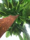 Ver imagem 2 de Planta Artificia Árvore Croton Variegata 1,60 Metros de Altura