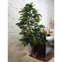 Ver imagem 1 de Planta Artificia Árvore Croton Variegata 1,60 Metros de Altura