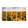 Quadro Decorativo Mosaico Flor Gira Sol 5 Peças 60x100cm - 1