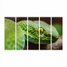 Quadro Decorativo Mosaico Réptil Cobra 5 Peças 60x100cm - 1