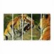 Quadro Decorativo Mosaico Tigre Feroz 5 Peças 60x100cm - 1