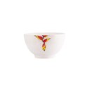 Ver imagem 4 de Jogo de Jantar 60 Peças Tropical Porcelana Real By Schmidt