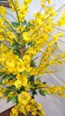 Ver imagem 4 de Planta Artificial Árvore CHUVA DE OURO com 1,60 metros de altura