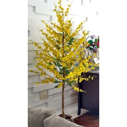 Planta Artificial Árvore CHUVA DE OURO com 1,60 metros de altura - 3