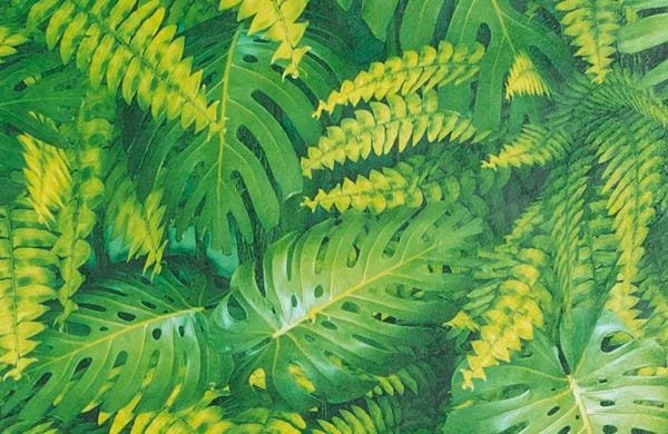 Papel de Parede Folhas Tropicais - PP320 Rolo de 1m2 - 3