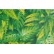 Papel de Parede Folhas Tropicais - PP320 Rolo de 1m2 - 3