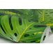 Papel de Parede Folhas Tropicais - PP320 Rolo de 1m2 - 4