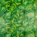 Papel de Parede Folhas Tropicais - PP320 Rolo de 1m2 - 7